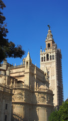 Fototapeta na wymiar Sevilla, Spanien: La Giralda, Turm an der Kathedrale