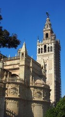 Fototapeta premium Sevilla, Spanien: La Giralda, Turm an der Kathedrale