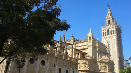 Fototapeta premium Sevilla, Spanien: La Giralda, Turm an der Kathedrale