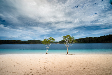 Australia K'gari Fraser Island Lake McKenzie blue water and twin trees with clouds