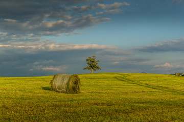 An agricultural machine riding on the horizon below a hill with an abandoned tree during the day with a view of a stack of hay and a view of moving clouds and the nature with a view of countryside.