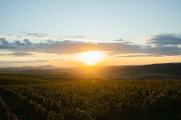 Obraz premium Construction of the lookout point Kobylí Vrch and one of the columns overlooking the wine field and fresh vines and setting sun during the autumn evening area of South Moravia.
