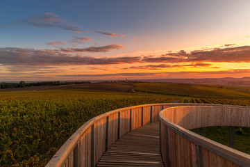 Construction of the lookout point Kobylí Vrch and one of the columns overlooking the wine field...