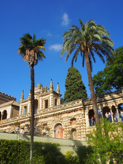 Fototapeta premium Sevilla, Spanien: Gärten des Alcazar-Palastes