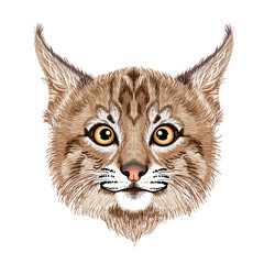 Caracal cat cartoon. lynx. Bobcat. Portrait of a cat. Wall stickers