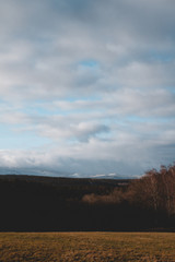 Berg mit Schnee und Wald im Nationalpark Harz