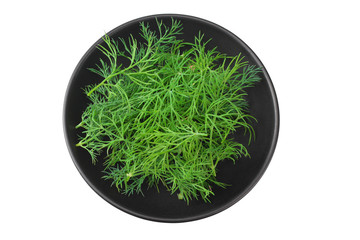 fresh dill in black plate isolated on a white background. top view