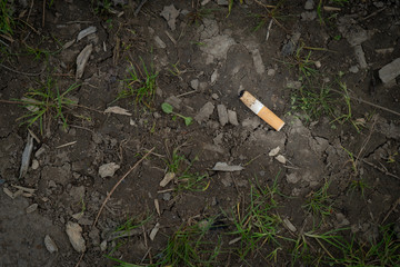 Discarded Cigarette Butt in the Dirt in a Public Park