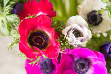 Bouquet colorful Anemone