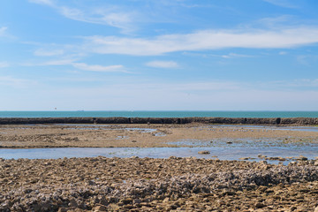 Beach Ile de Re ebb ty