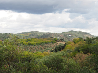 Fototapeta na wymiar Andalusien, Sierra Norte im Herbst
