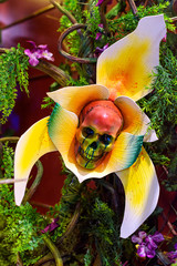 Horror flower with skull on it