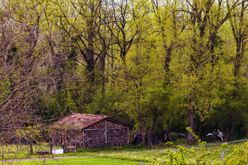 rustic wood shed near the oak woods in the Italian countryside of the Lazio region