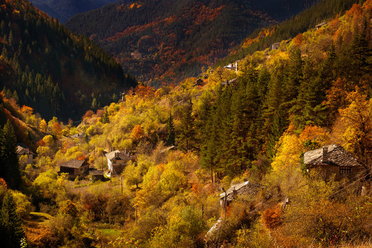 Amazing view of an autumn forest in Rhodopi Mountains, Bulgaria. The small Rhodopean village Varbovo near Shiroka Laka .