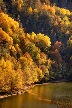Autumn view dam Teshel situated in mountain Rodopi. Autumn landscape from the Rhodopi Mountains, Bulgaria.