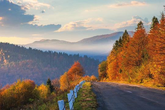 asphalt road through forest. beautiful mountain landscape. trees in fall foliage. foggy weather at sunrise. glowing clouds on the sky