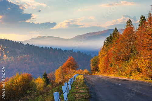Asphalt Road Through Forest Beautiful Mountain Landscape Trees In Fall Foliage Foggy Weather At Sunrise Glowing Clouds On The Sky Wall Mural Pellinni