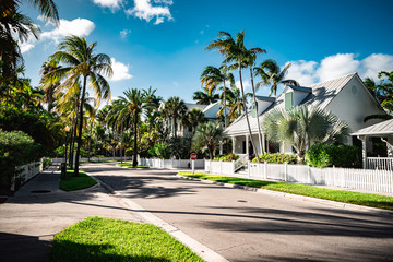 Key West neighborhood street view with palm trees