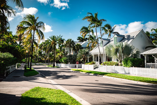 Key West Neighborhood Street View With Palm Trees