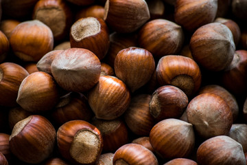 hazelnuts background. food photo concept