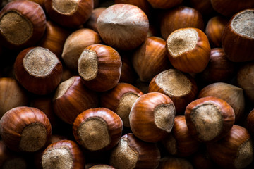 hazelnuts background. food photo concept