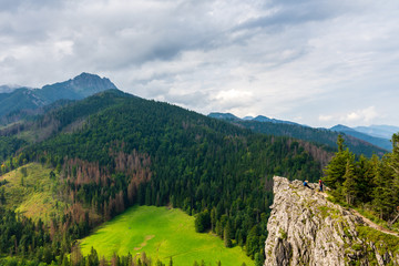 Fototapeta na wymiar Edelweiss and other vegetation on the rock. Nosal. Tatra Mountains. Poland.