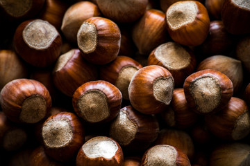 hazelnuts background. food photo concept