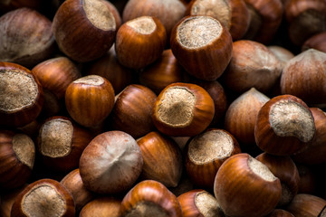 hazelnuts background. food photo concept