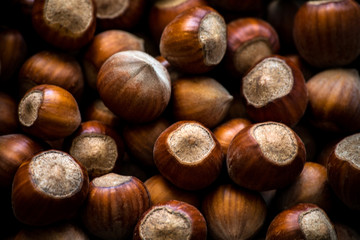 hazelnuts background. food photo concept