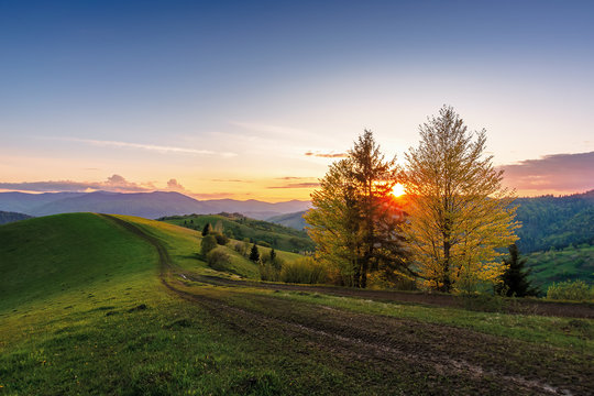 carpathian countryside at sunset in springtime. beautiful rural scenery with tree by the road. dirt pathway along the grassy rolling hills. distant ridge beneath a sky with clouds glowing before dusk