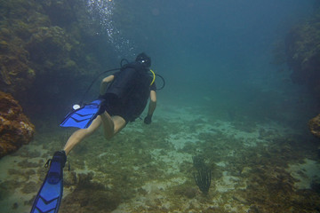 Grenada Underwater Sculpture Park Diver