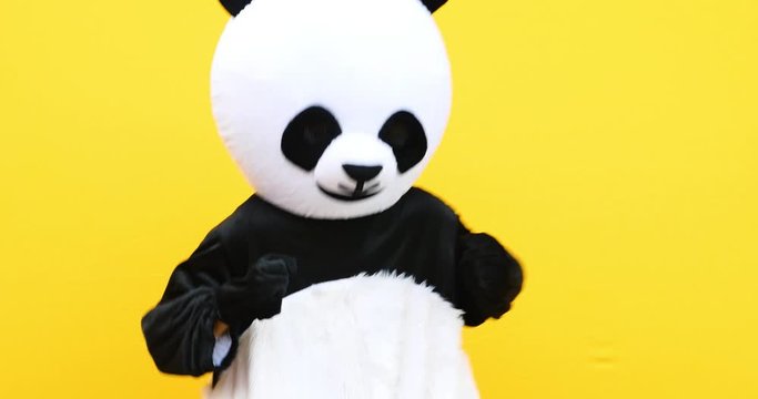 Person with panda costume dancing dab dance. Mascot character lifestyle concept on colored background