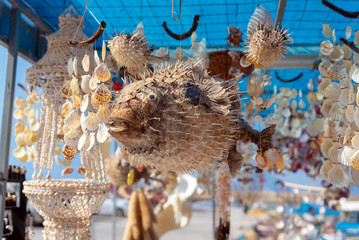 Stuffed puffer fish as a decoration toy. Crete island, Greece