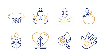 Local grown, Gluten free and Resilience line icons set. Eco food, Augmented reality and 360 degrees signs. Water analysis, Social responsibility symbols. Organic tested, Bio ingredients. Vector