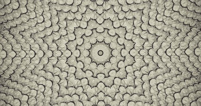 57Parallax effect. Radial brown snake skin background. Snake skin texture closeup. 4k zoom in footage