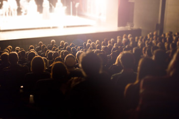 Fototapeta na wymiar theater audience watching the play