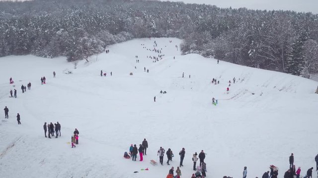 Crowd of people sledding and skiing down the snow hillside on the edge of mountain coniferous forest in the background. Aerial view.