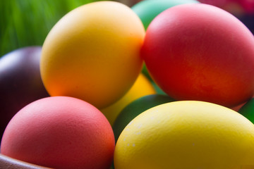 Colored eggs for easter