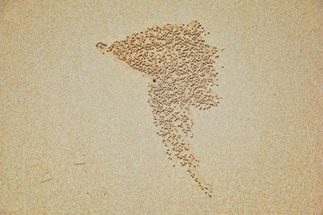 Sand Bubbler Crab, abstract patterns of balls of sand on the beach, of the genera Scopimera and Dotilla, family Dotillidae, Pu Lom in Thai. Found in Indo-Pacific, Phuket, Phi Phi islands near Bangkok,