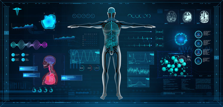 MRT and body scan in HUD style design, Human body, organs and brain scan with pictures. X-ray hi-tech healthcare. Virtual graphic touch HUD UI, cardiogram and data chart. Medical vector illustration