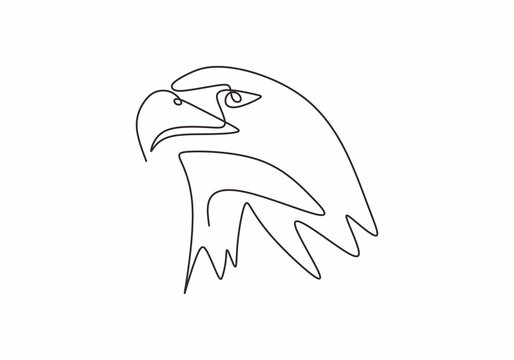 Continuous line drawing of eagle or falcon head. Hawk vector illustration animal bird minimalism for tattoo, logo, and poster. Simplicity style design.
