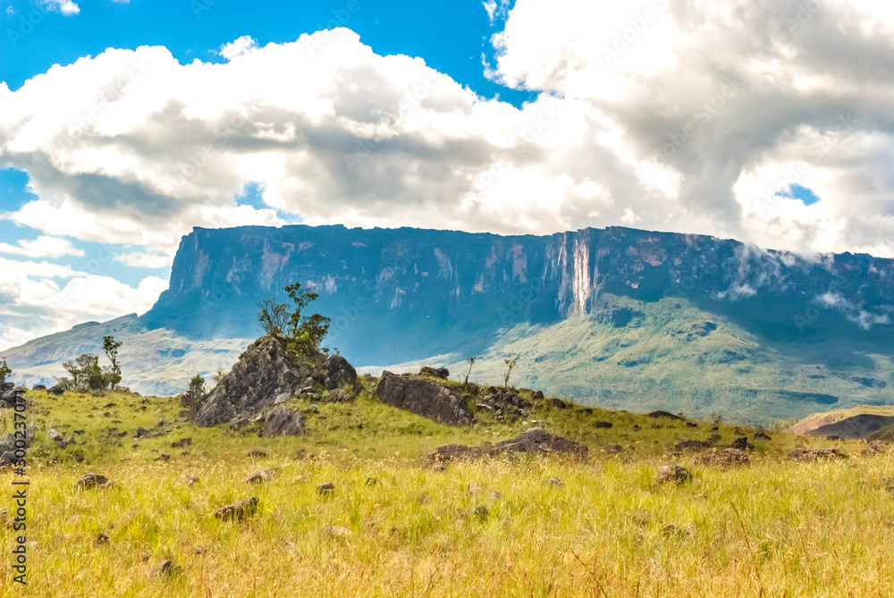 Wall mural roraima table mount called in pemon indians language roraima tepui, la gran sabana, canaima national