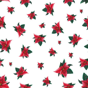 Seamless Poinsettia hand drawn in watercolor, illustration.