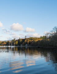 autumn landscape & lake