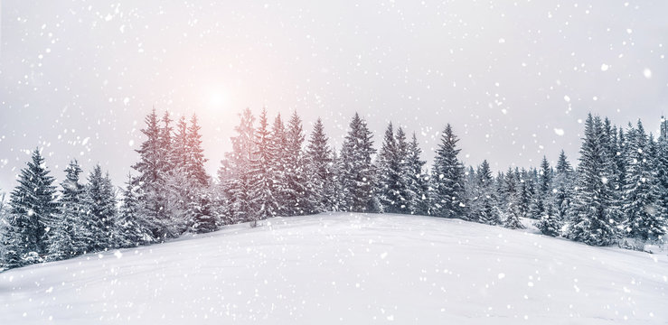 Free Winter Zoom Background - Download in PSD, JPG