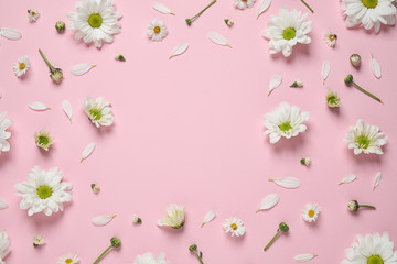 Obraz na płótnie Canvas Flat lay composition with beautiful white chamomile flowers on pink background. Space for text