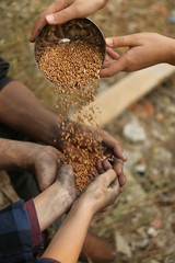 Woman giving poor homeless people bowl of wheat outdoors, closeup