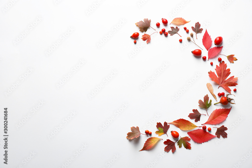 Poster Beautiful composition with autumn leaves on white background, flat lay. Space for text