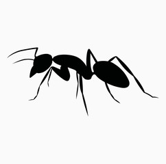 Ant icon vector black realistic nature