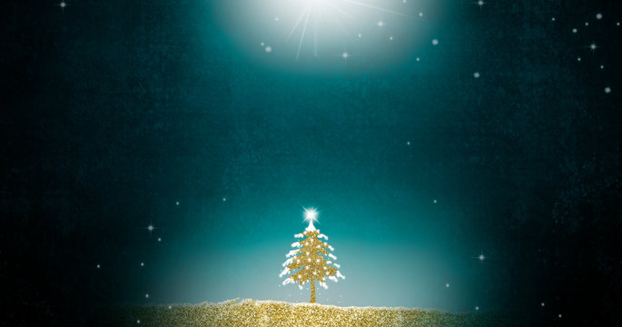 Christmas fir tree greetings cards